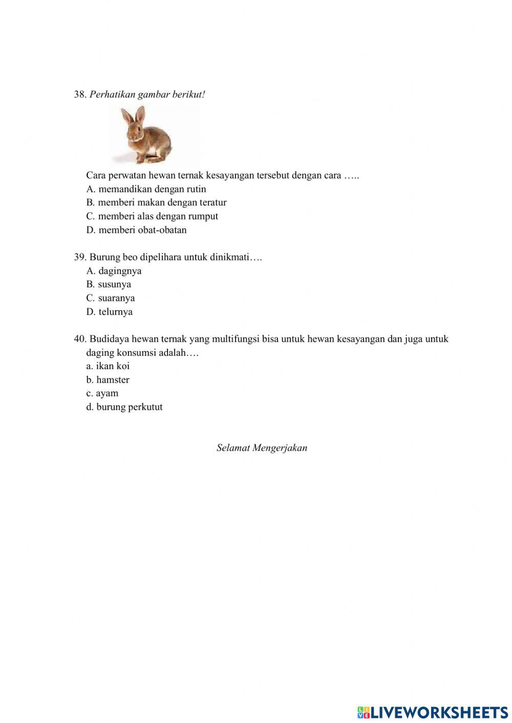 SOAL Pas Prakarya Kelas 8