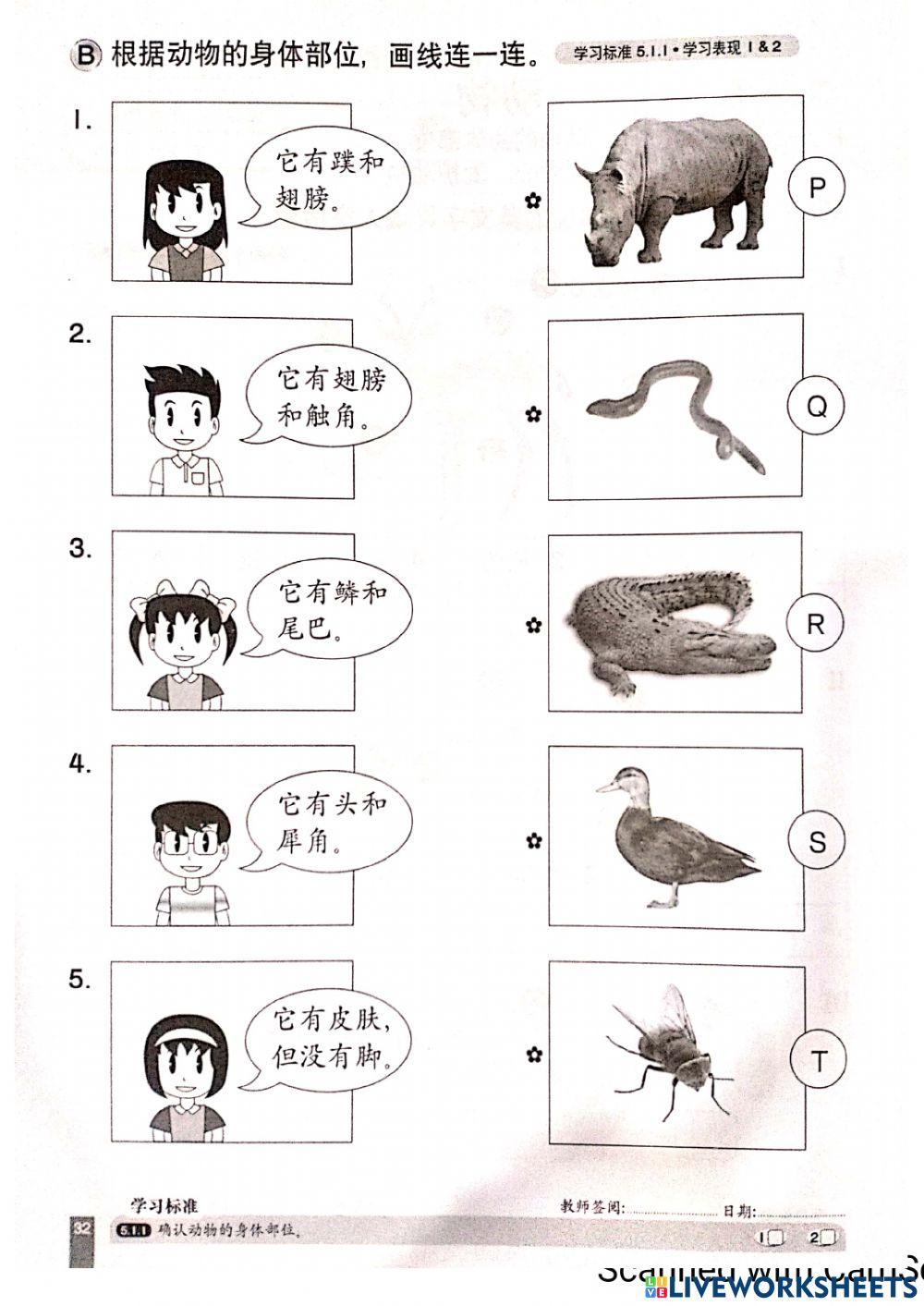 一年级科学：动物