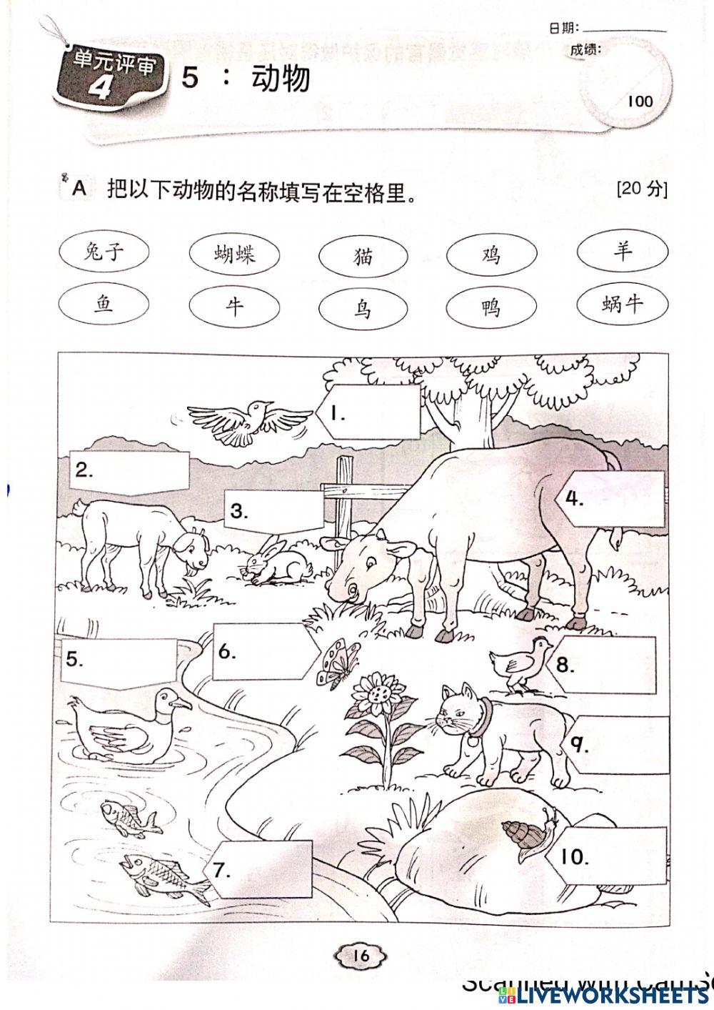 一年级科学：动物