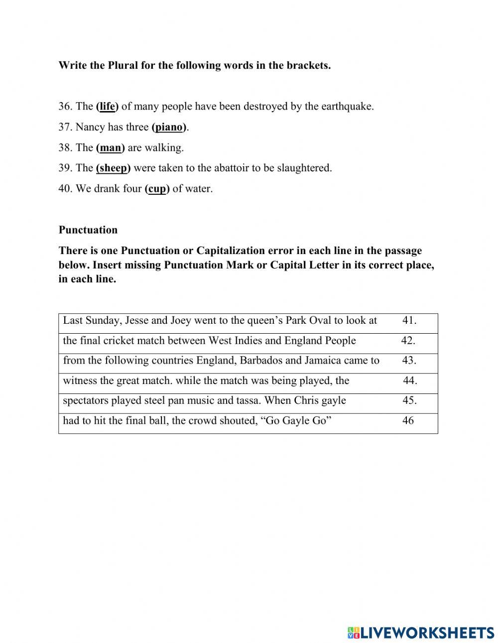 Std 4 Language Arts Test Term 1