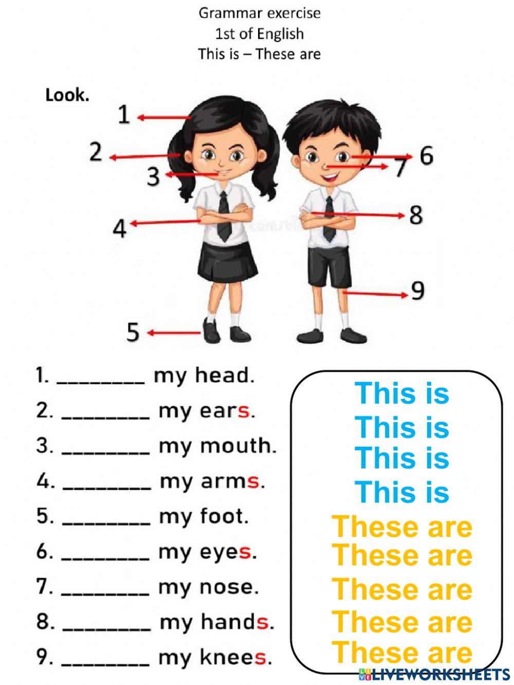 This is-These are G1