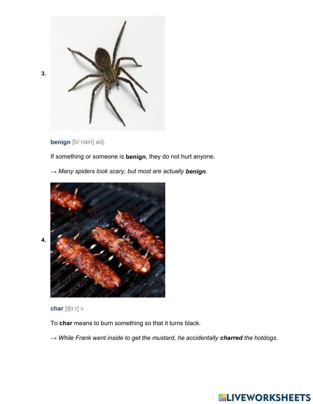 9.6.5. Bet learn vocabulary