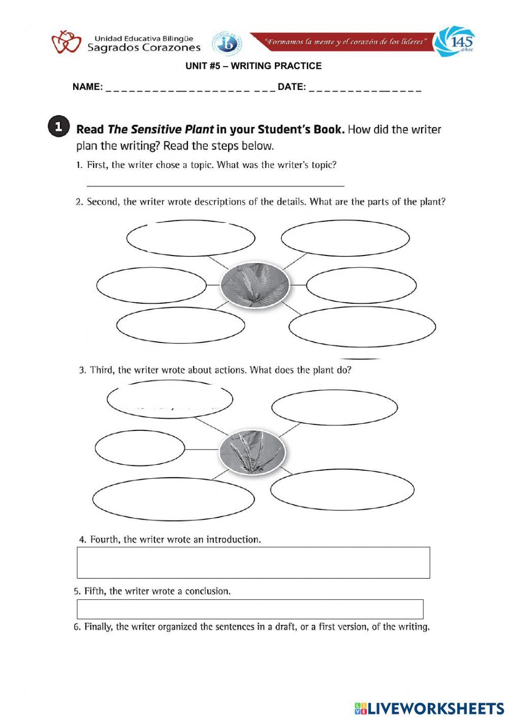 Writing Introduction 2
