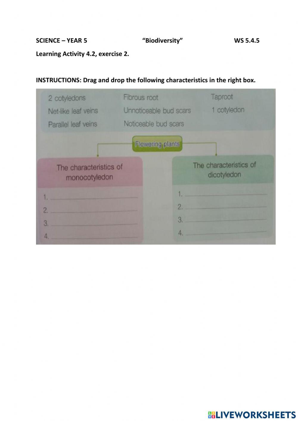Mono-di-cotyledon plants