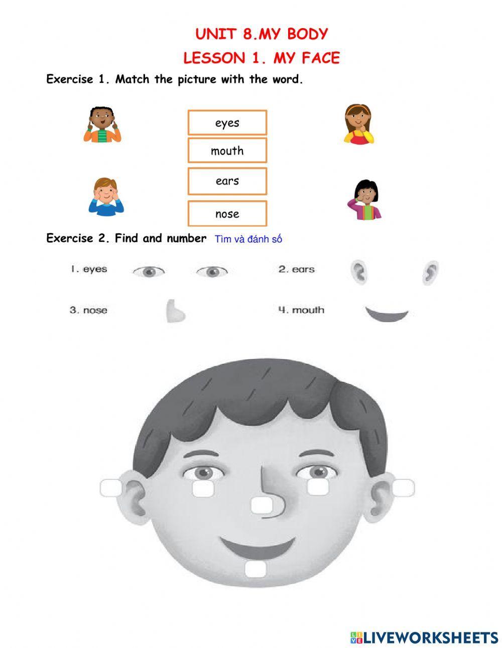E u starter unit 8 lesson 1