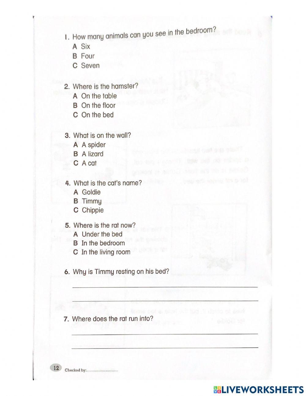 Comprehension : Timmy's resting day