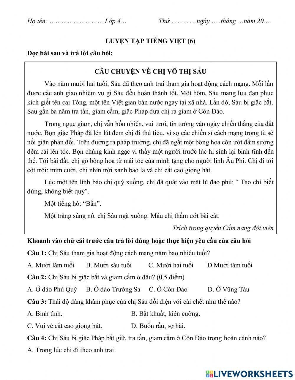 LUYỆN TẬP TIẾNG VIỆT CUỐI HKI(6)