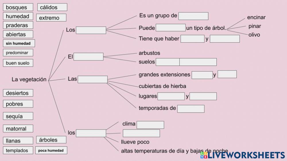Esquema de la vegetación