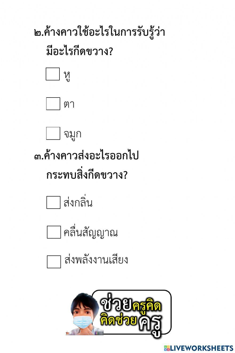 แบบทดสอบการอ่านจับใจความ ป.3-ป.6 ชุดที่ 2