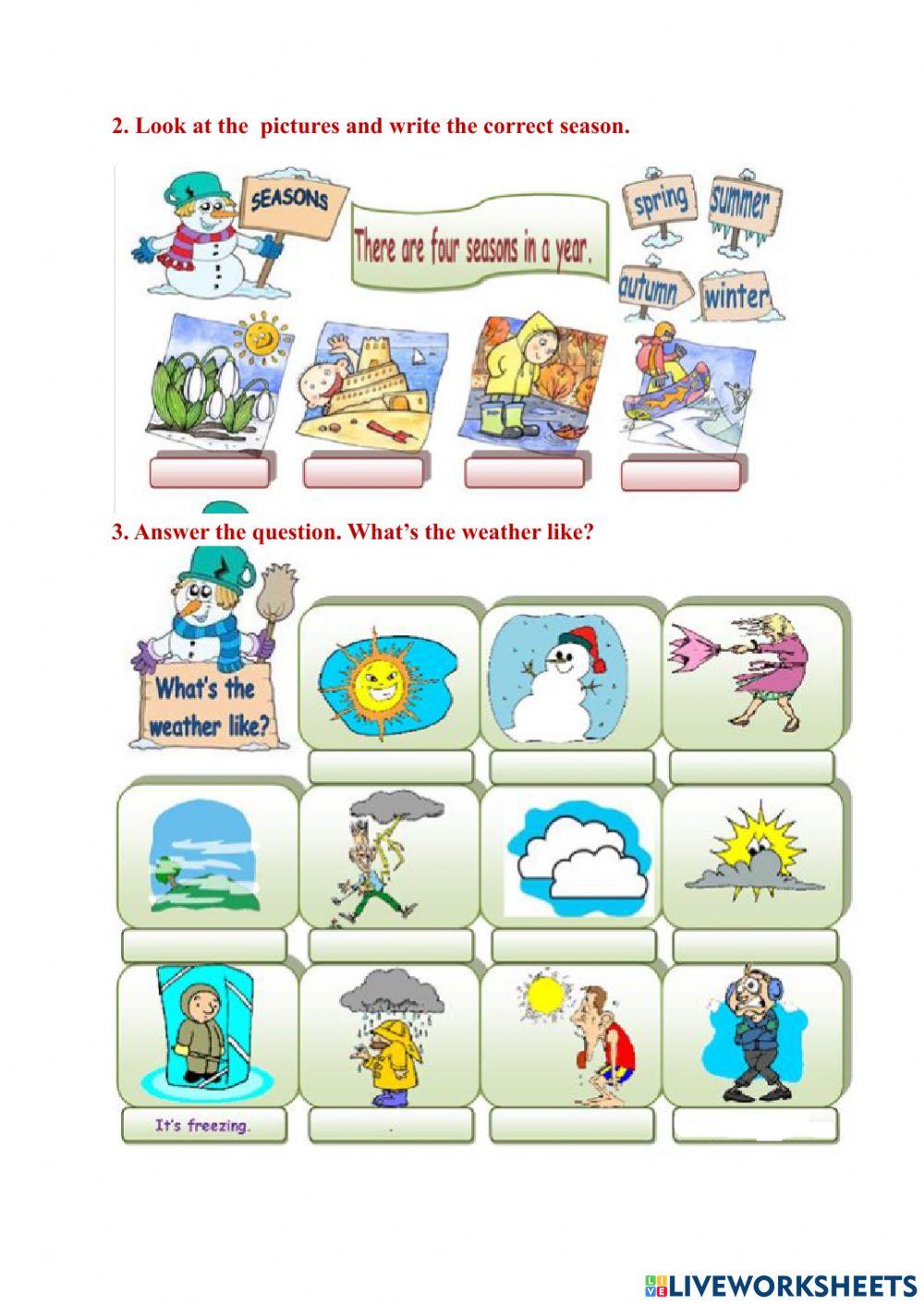 Science Summative Quiz