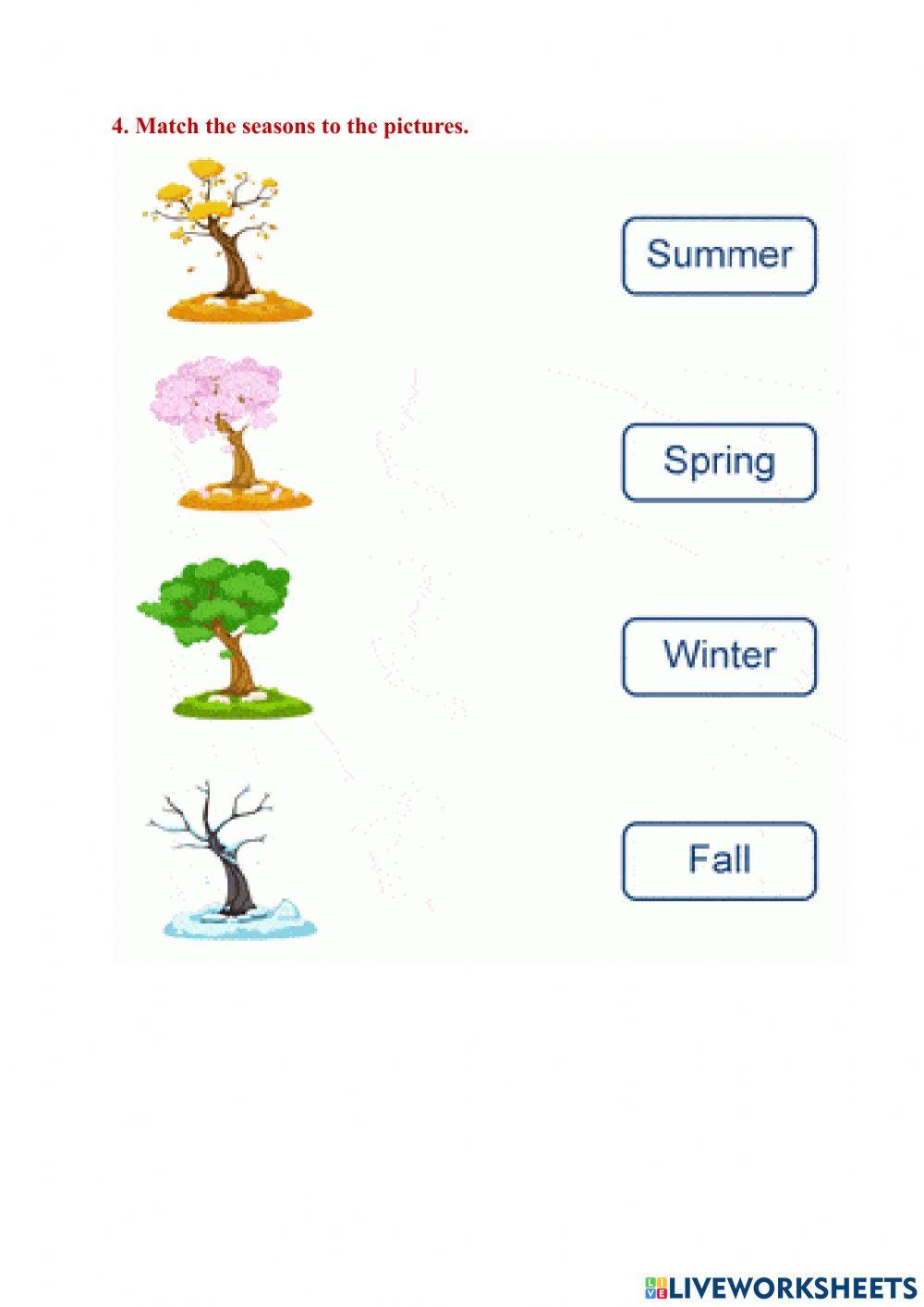 Science Summative Quiz