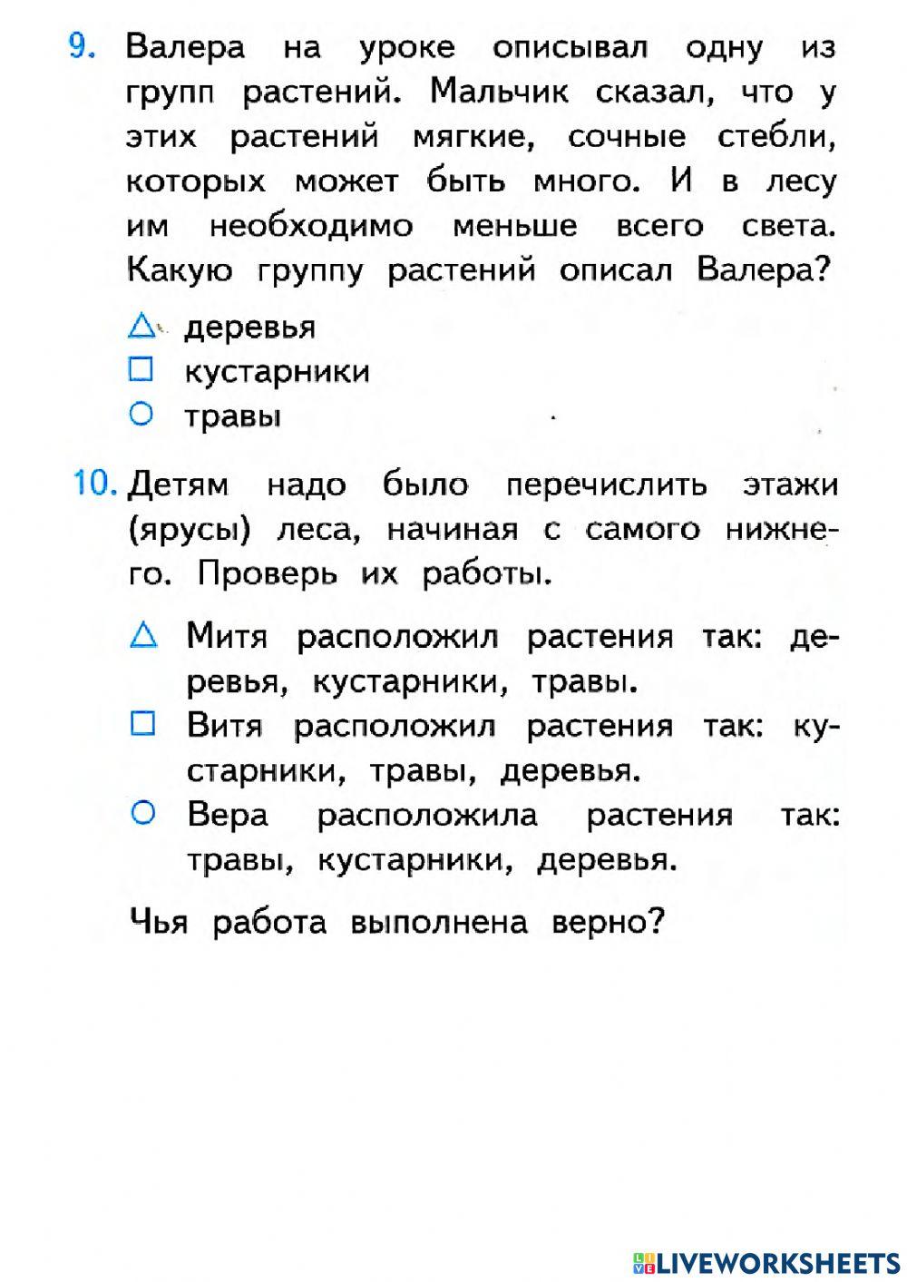 Какие бывают растения