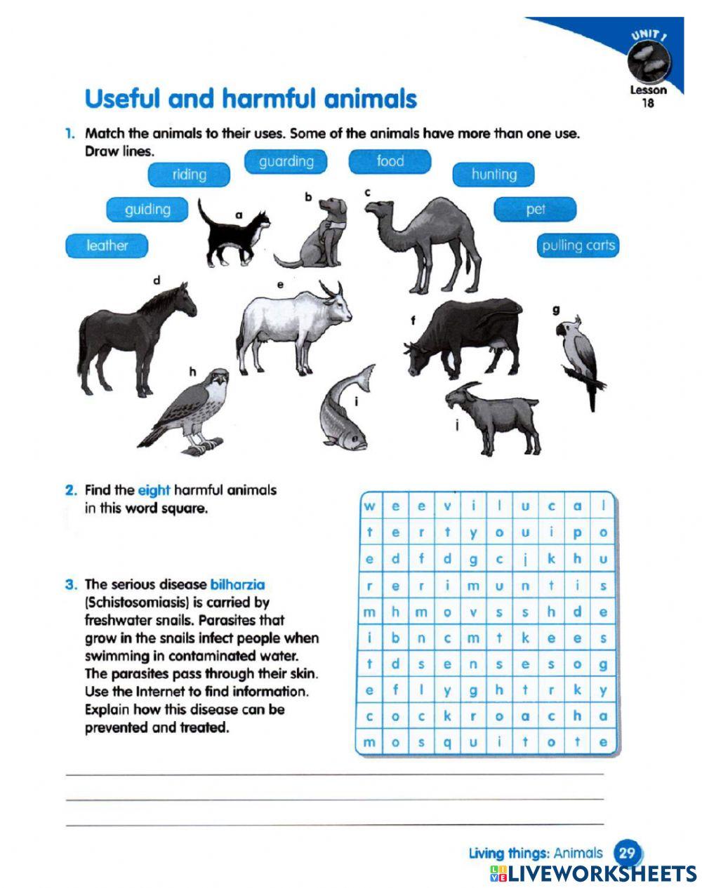 Science Useful And Harmful Animals 6796868 Mrs Rosie science-useful-and-harmful-animals-6796868-mrs-rosie