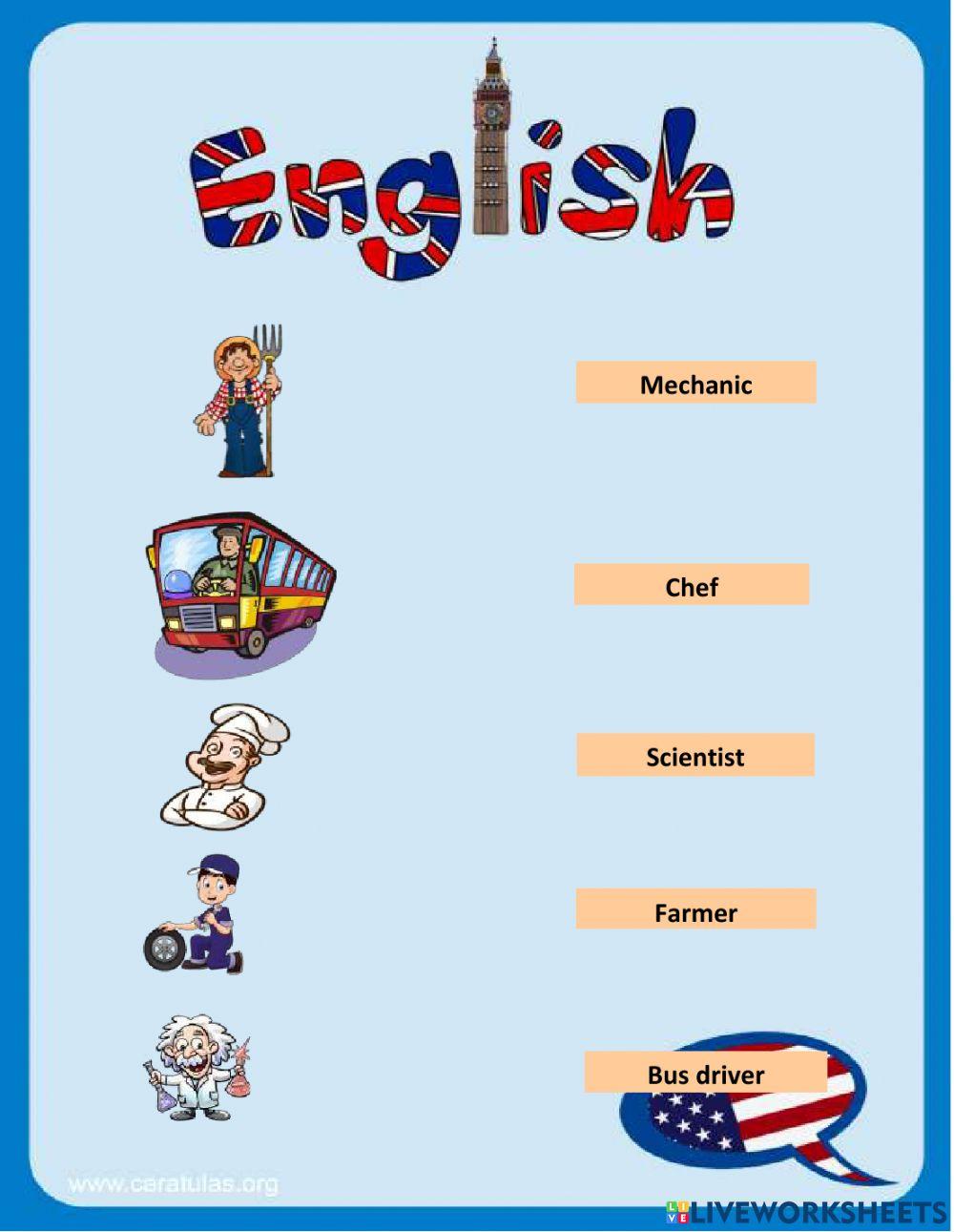 Professions - Occupations