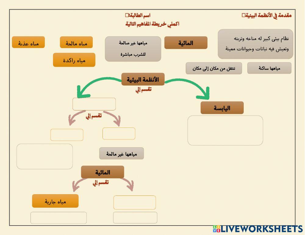 الأنظمة البيئية