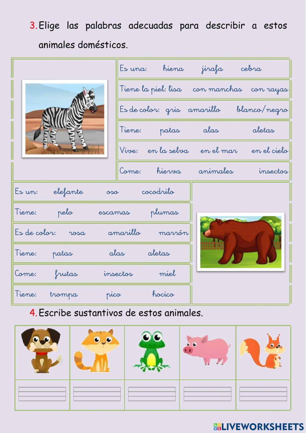 Evaluación lengua diciembre 2º
