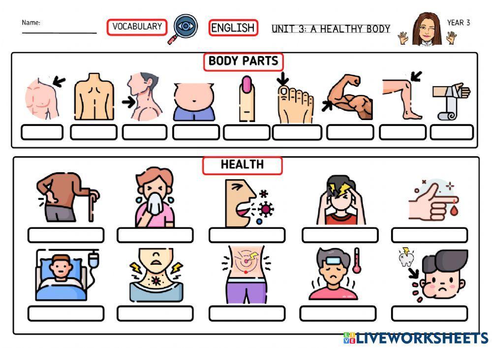 Unit 3: a healthy body