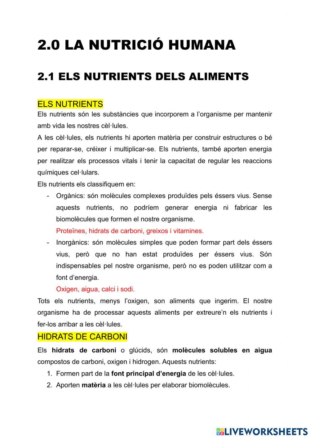 Ud2 la nutrició humana