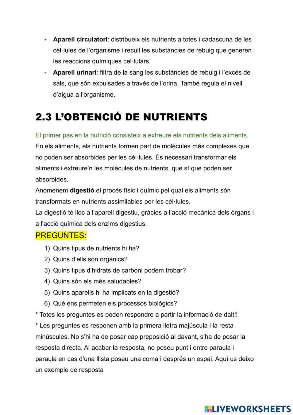 Ud2 la nutrició humana