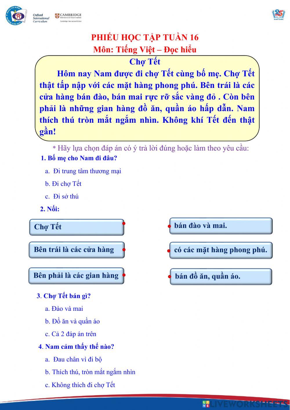 Tiếng Việt nâng cao tuần 16