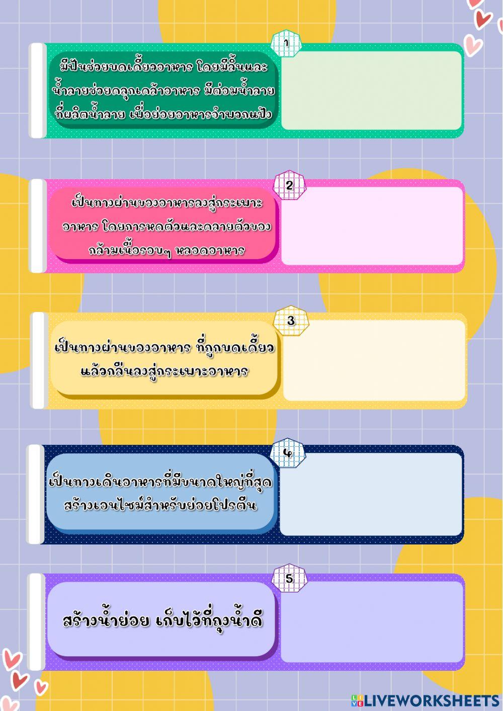 ระบบย่อยอาหาร