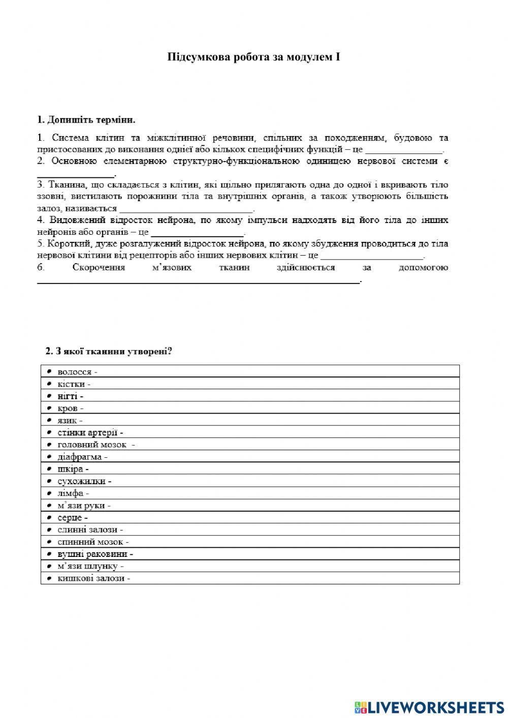 Підсумкова робота