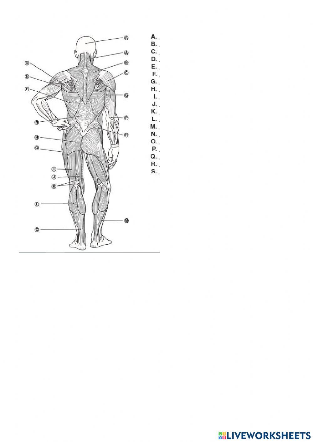 Підсумкова робота