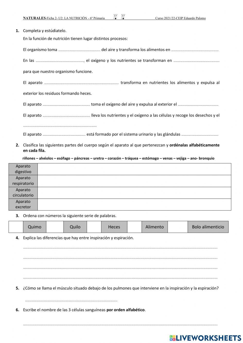 La función de nutrición