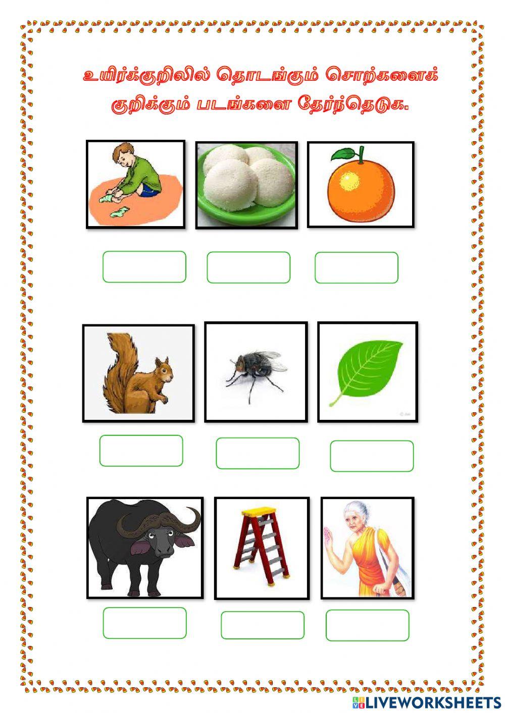 உயிர்க்குறில் சொற்களைக் குறிக்கும் படங்களைத் தேர்ந்தெடுக