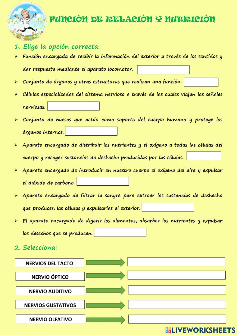 Función de relación y nutrición