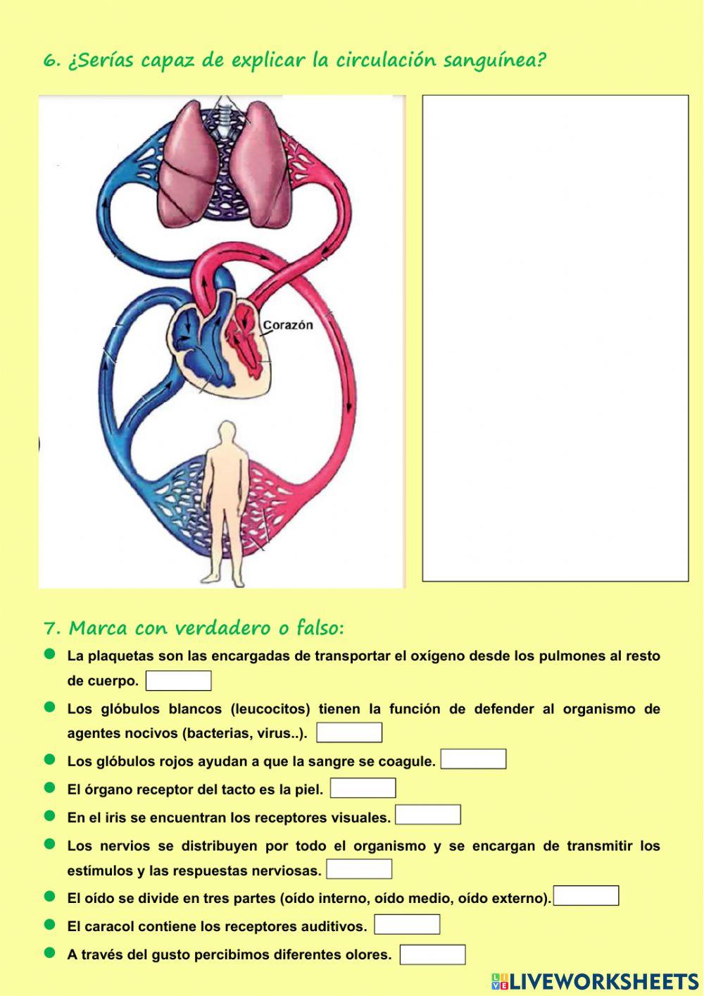 Función de relación y nutrición