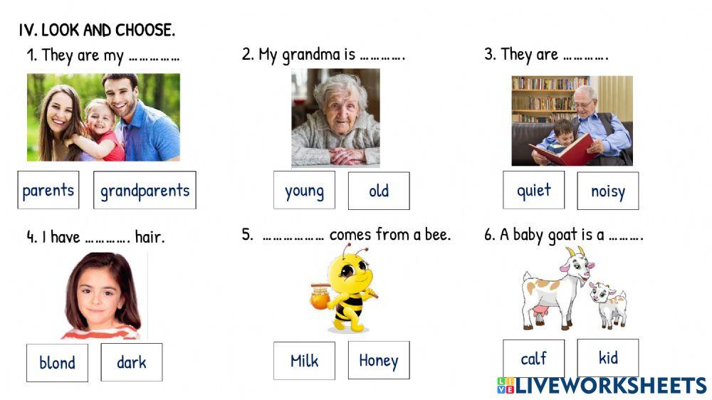 Revision Worksheet 8