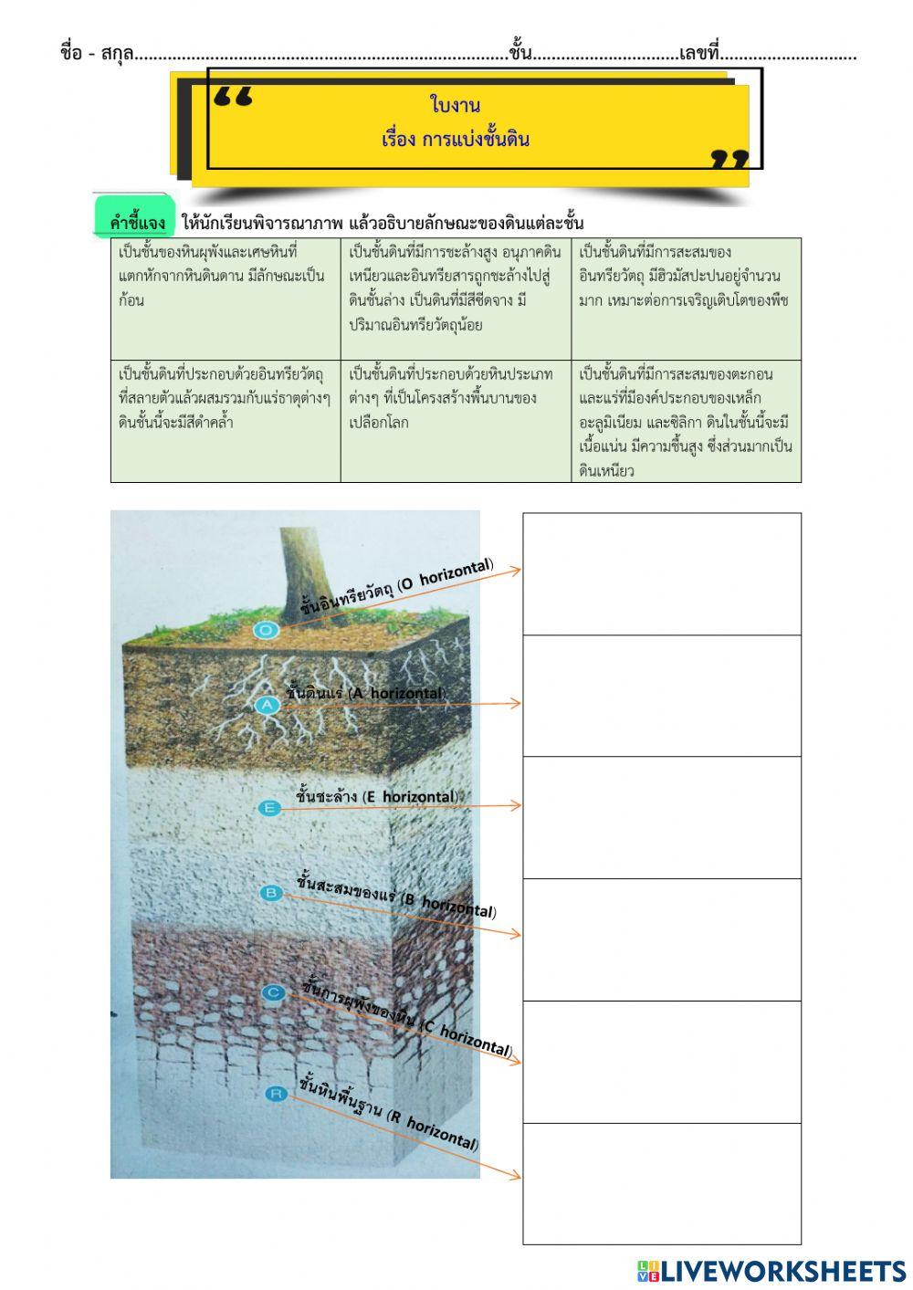 ใบงาน เรื่อง การแบ่งชั้นดิน