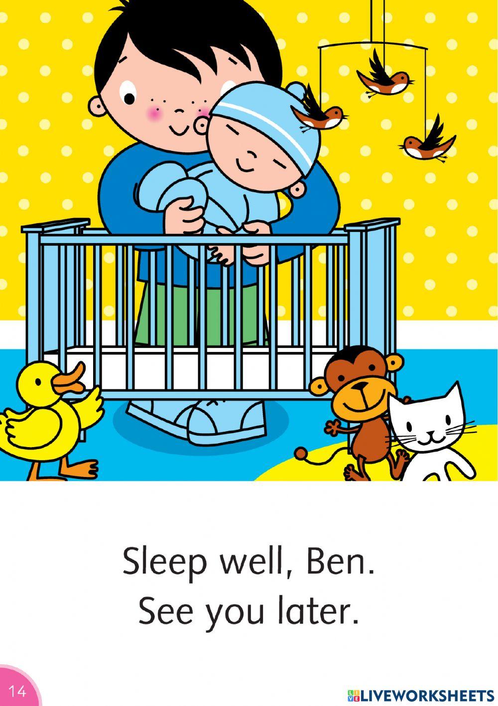 Dolphin reader part 2