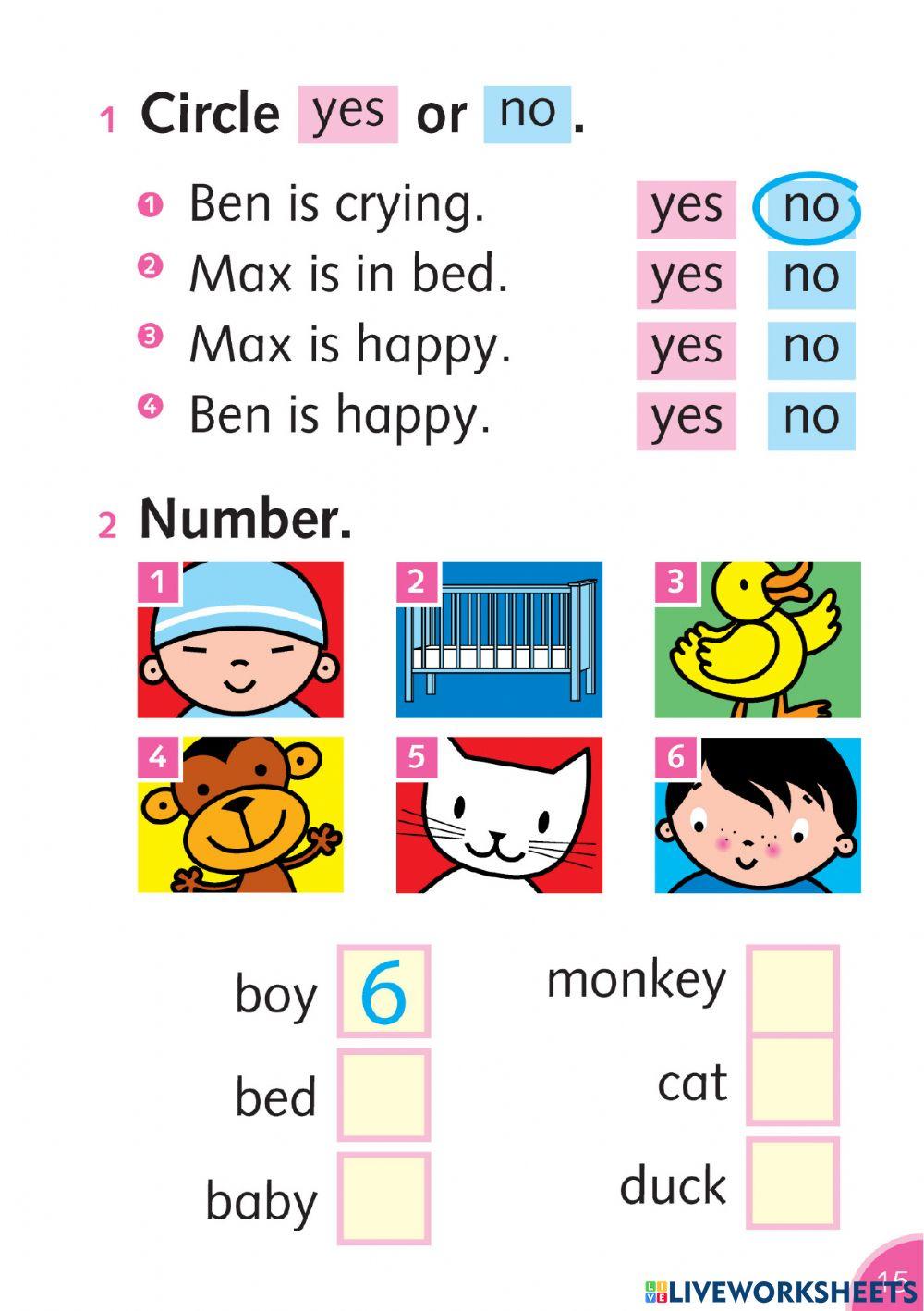 Dolphin reader part 2