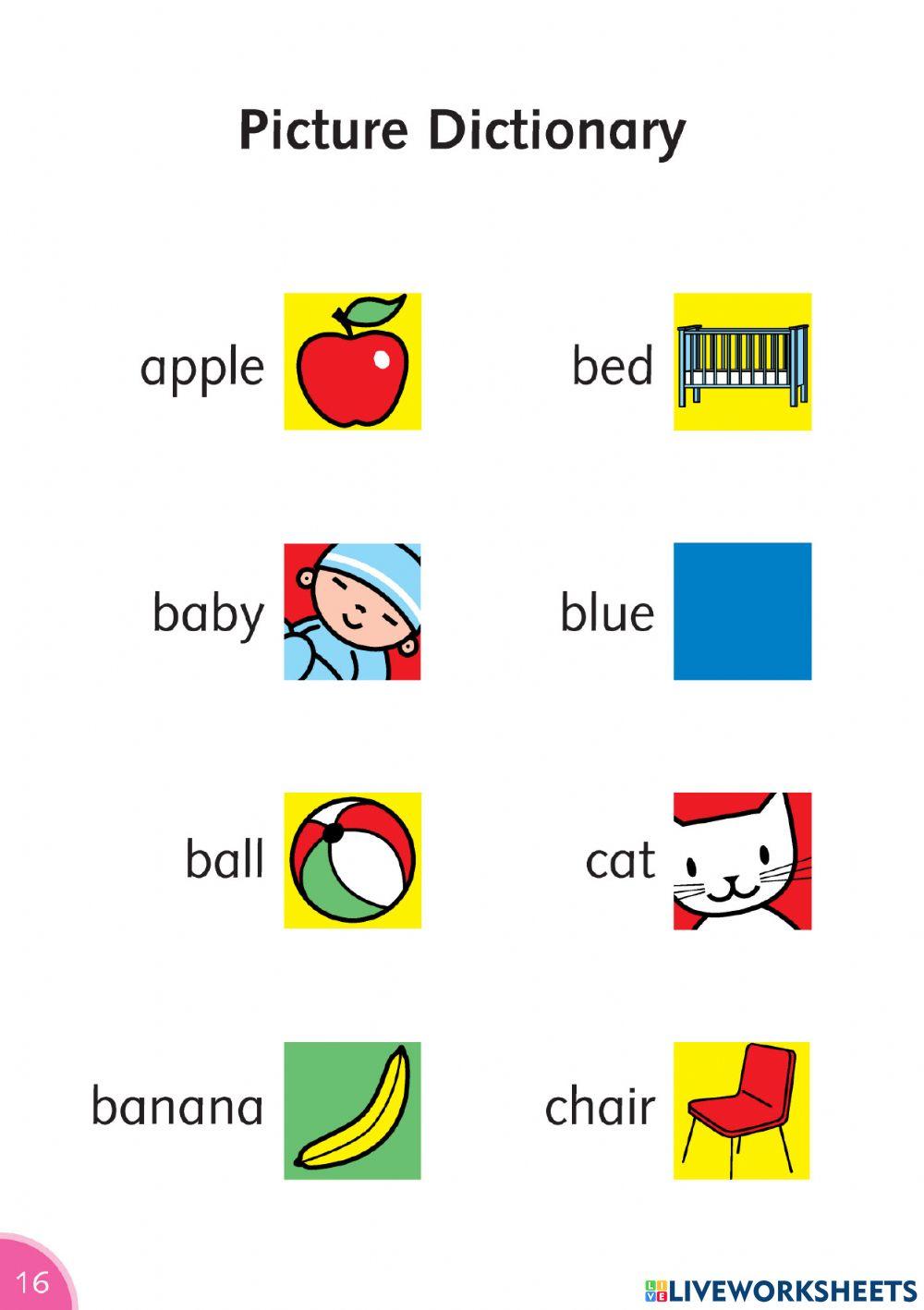 Dolphin reader part 2