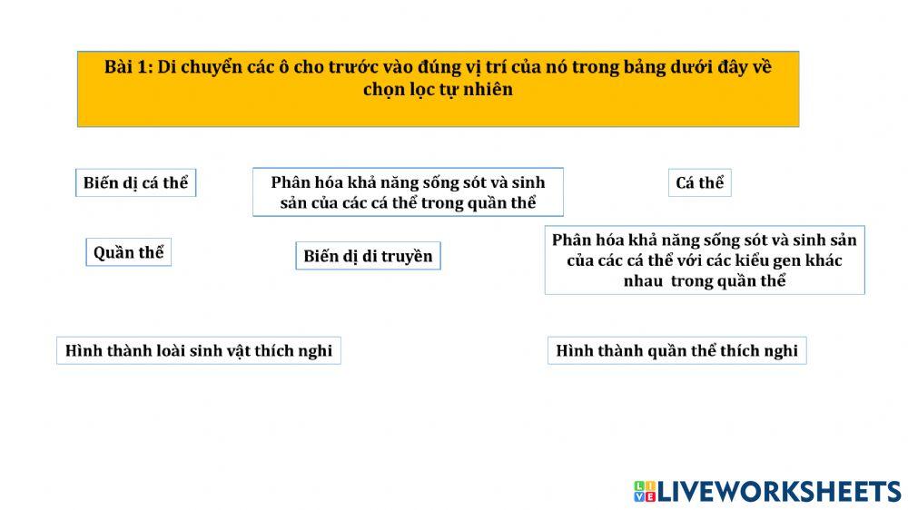 Ôn tập thuyết tiến hóa