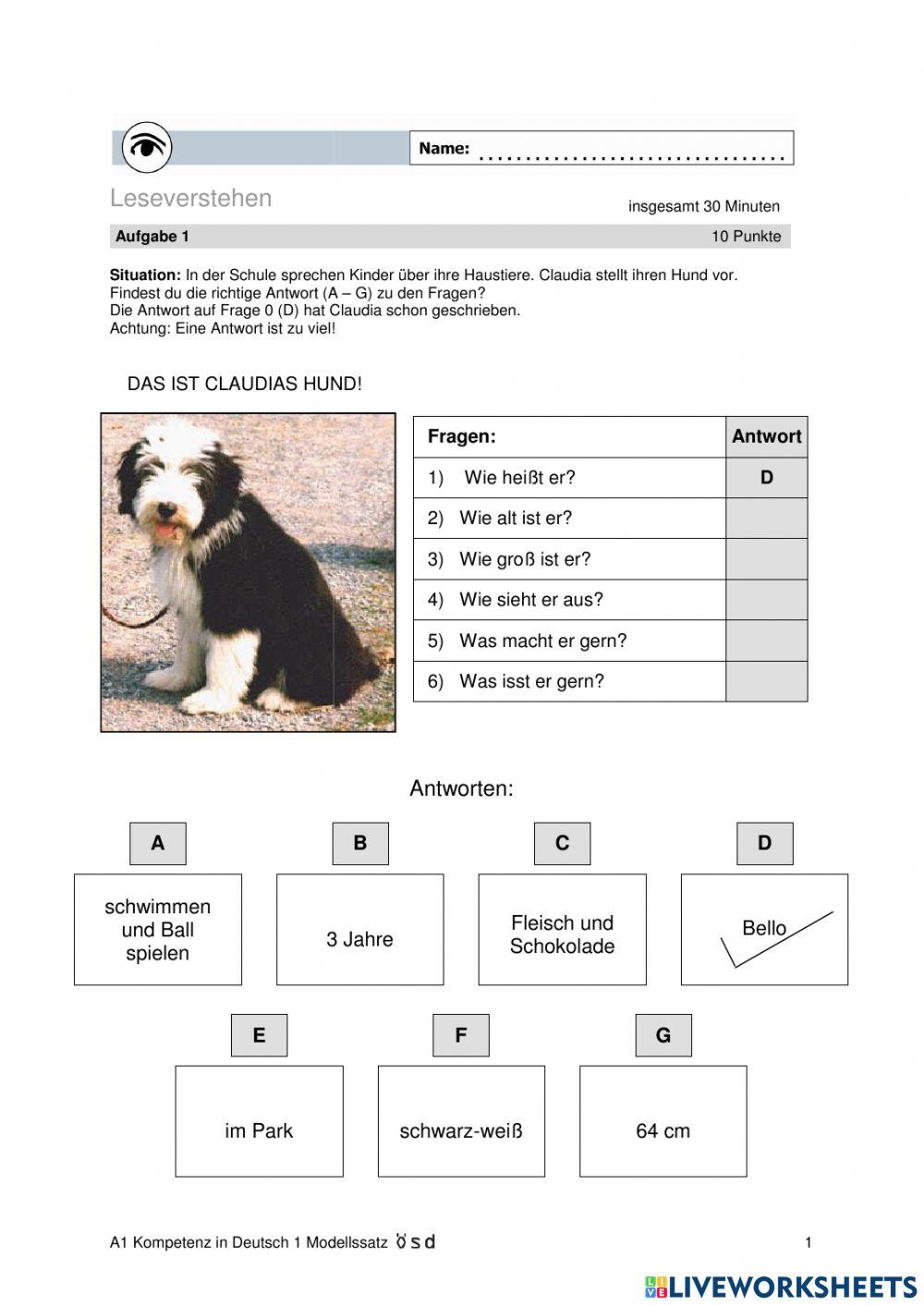 leseverstehen-a1-online-exercise-for-live-worksheets