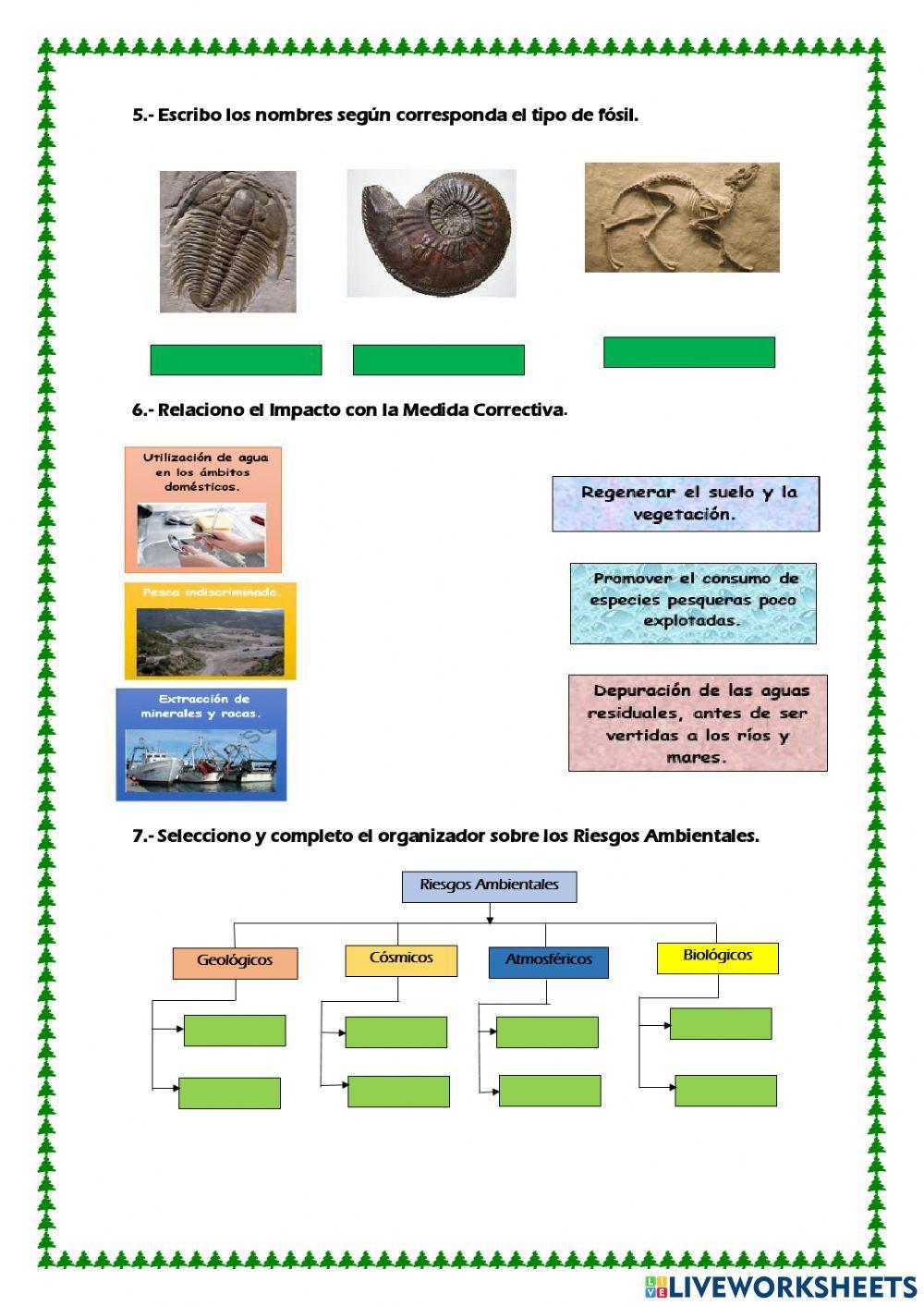Evalúo mis conocimientos