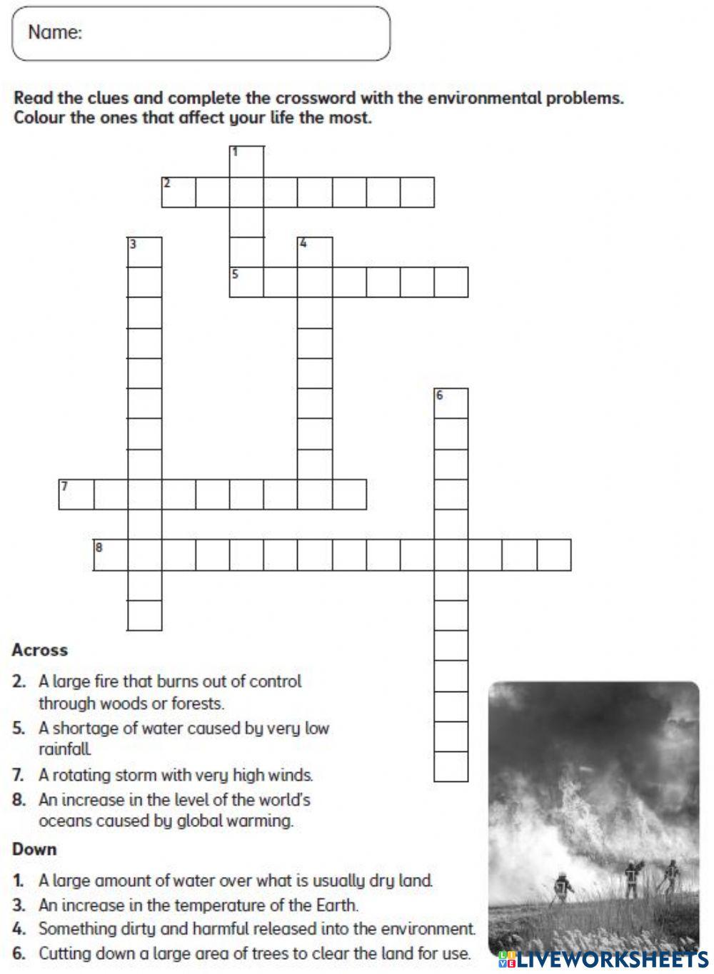 Activity sheet two: Environment words