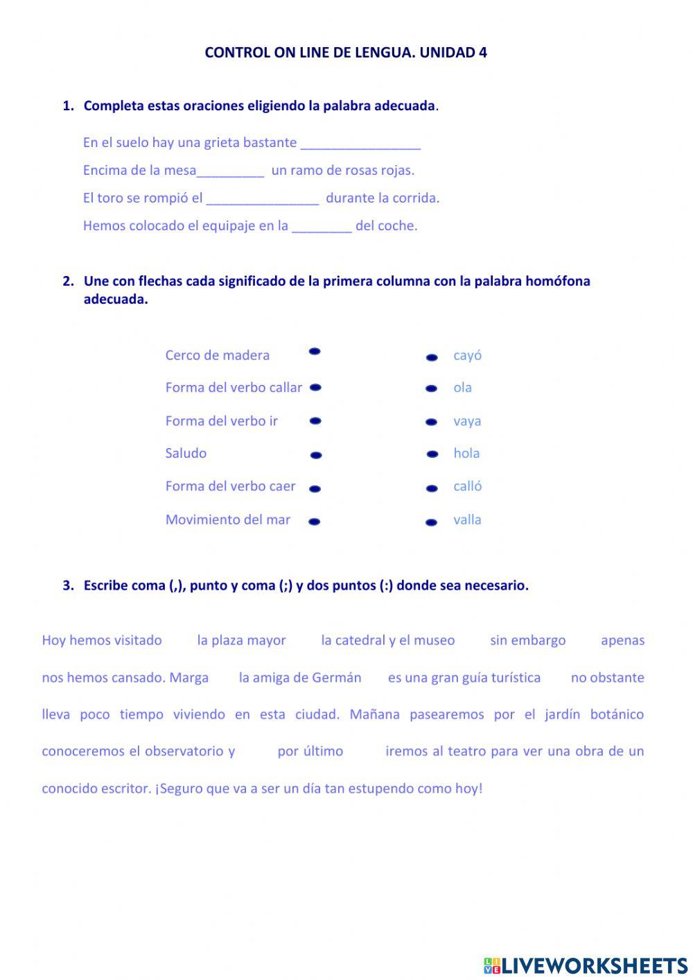 CONTROL LENGUA TEMA 4