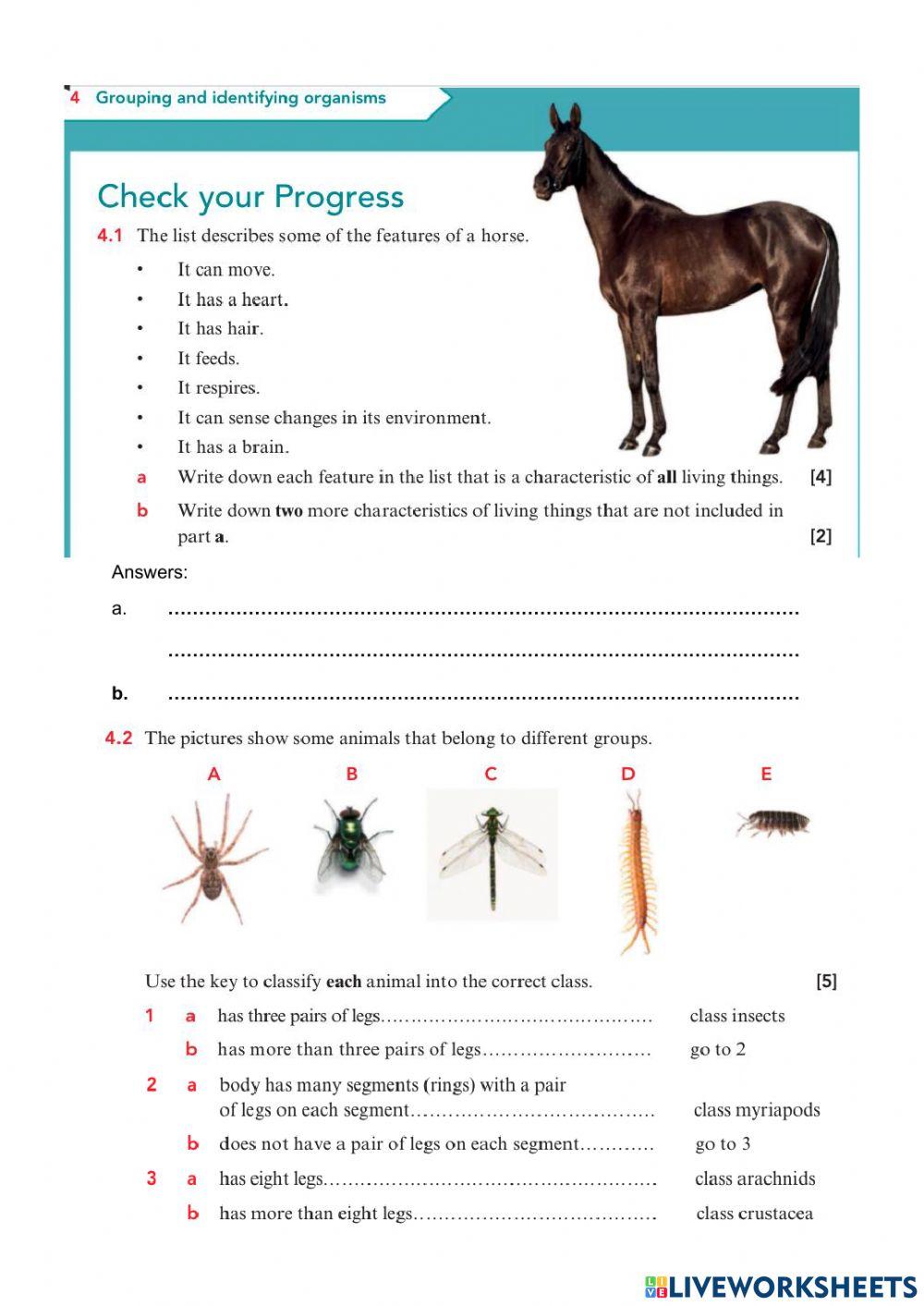 Grade 6- Unit 4 End of Unit test (For Sharing)