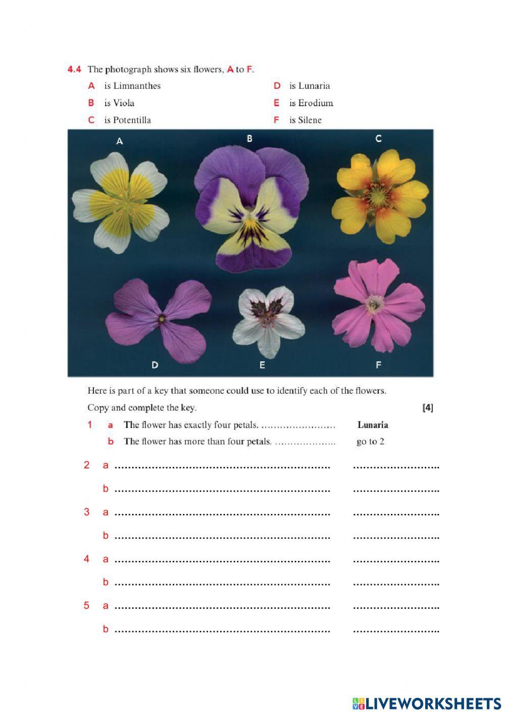 Grade 6- Unit 4 End of Unit test (For Sharing)