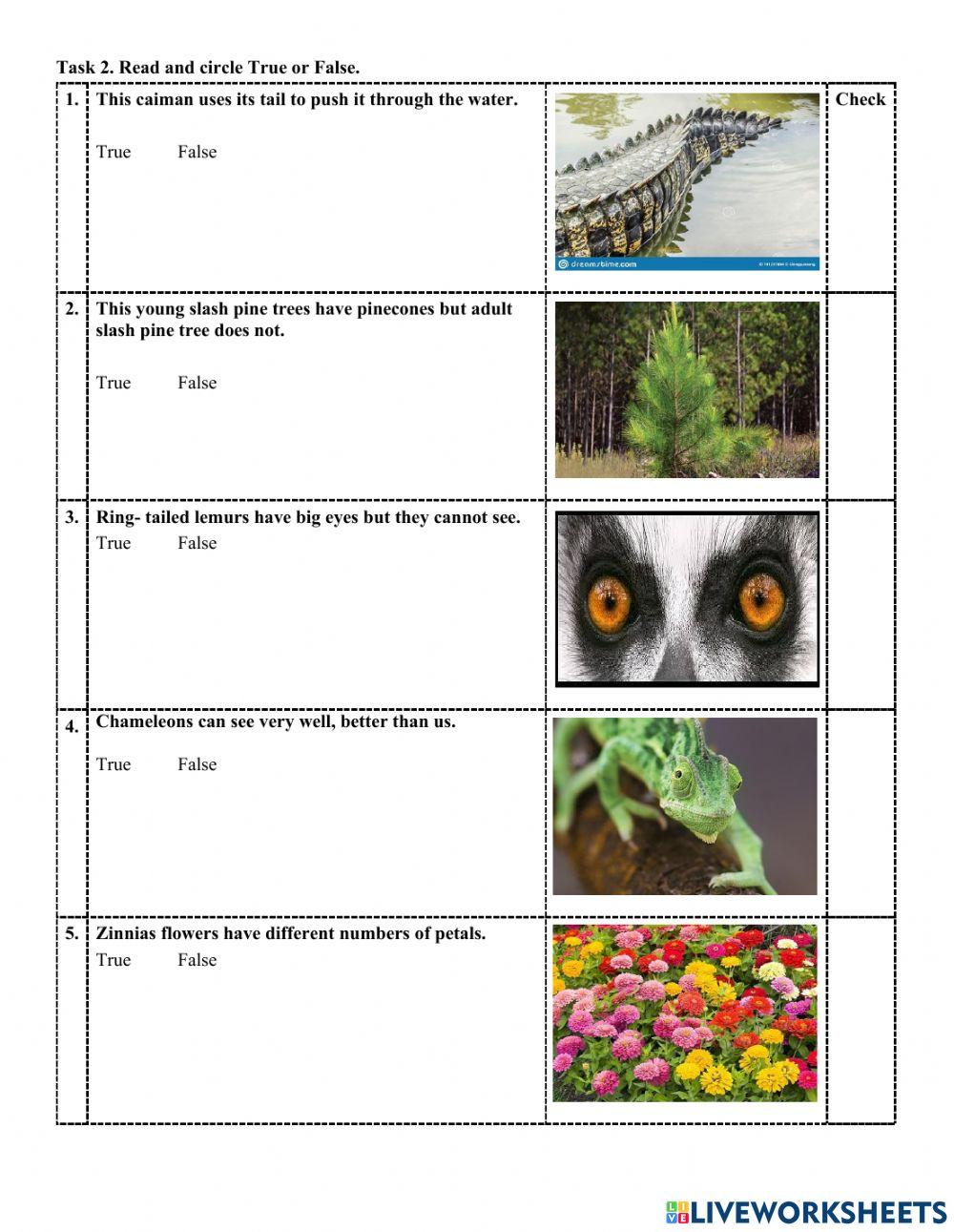 2clc-science-study guide end term