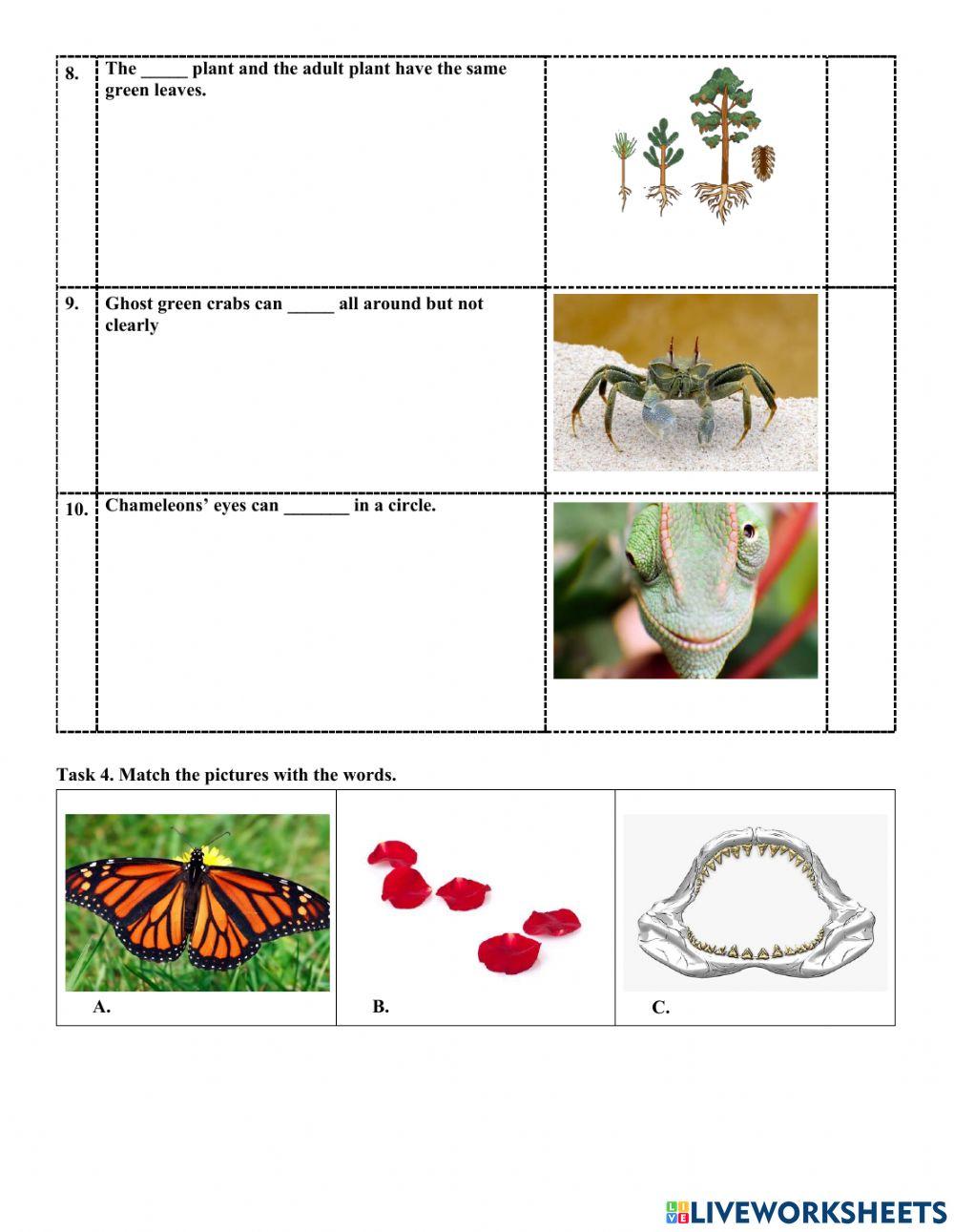 2clc-science-study guide end term
