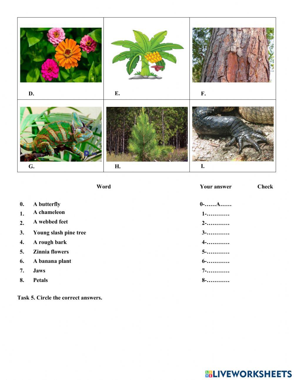 2clc-science-study guide end term