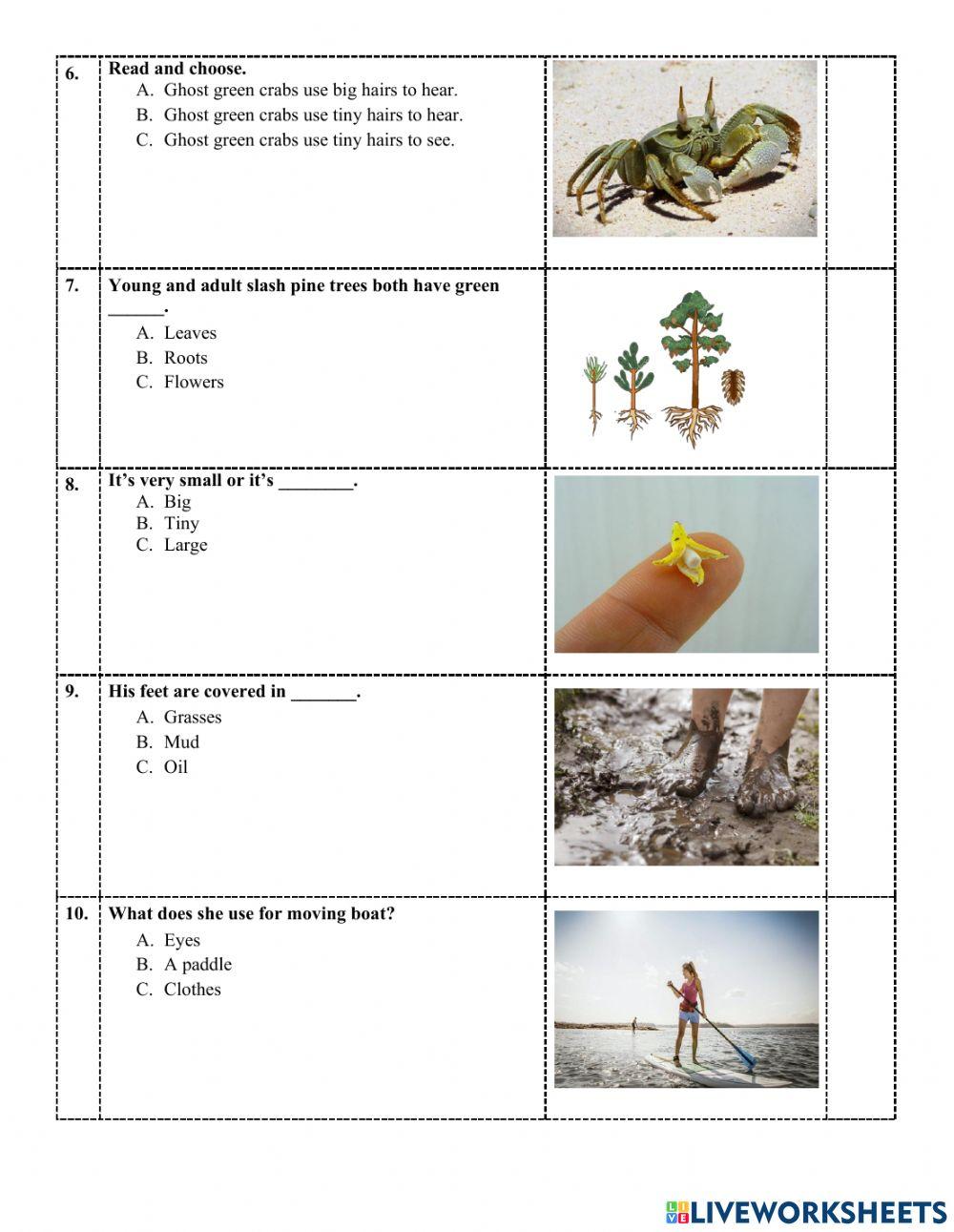 2clc-science-study guide end term part 2
