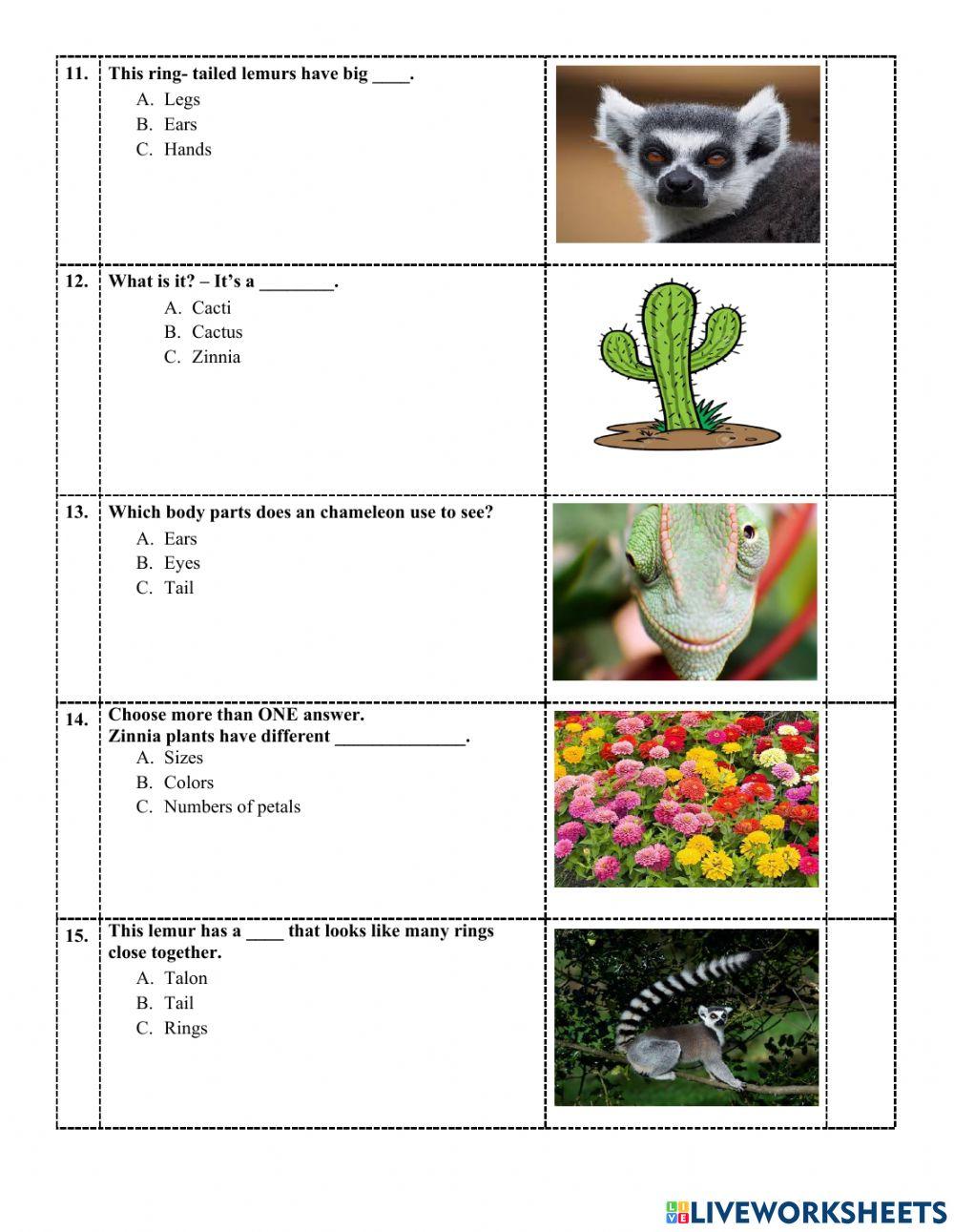 2clc-science-study guide end term part 2