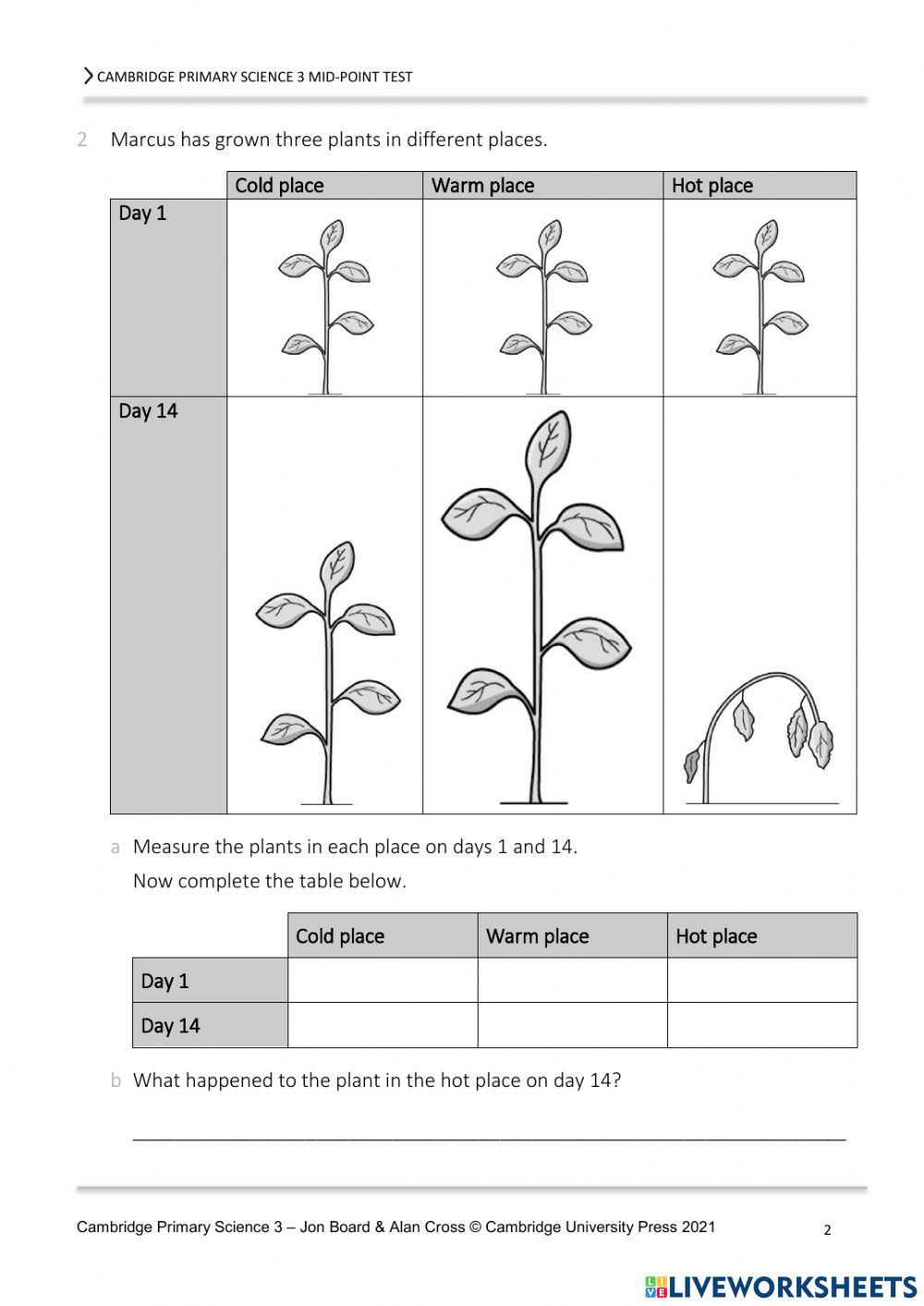 Pratice Semester 1 science