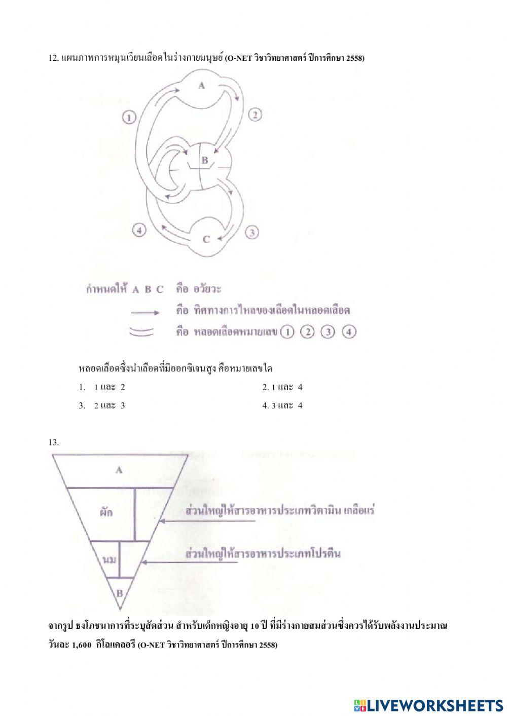 วิทยาศาสตร์ ป.6